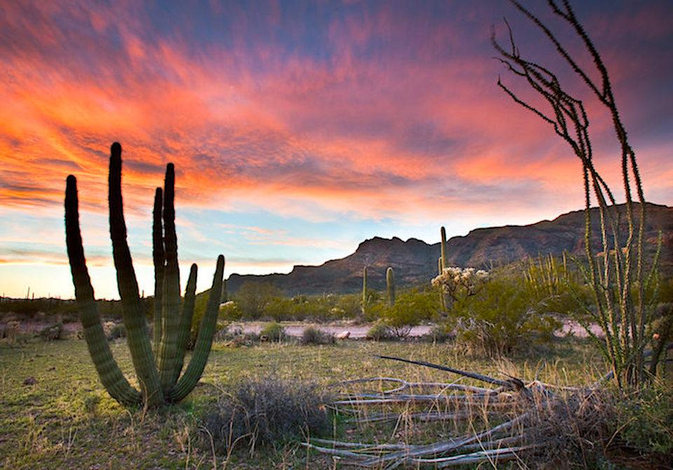 Sunsets and silence at Organ Pipe Cactus National Monument/NPS