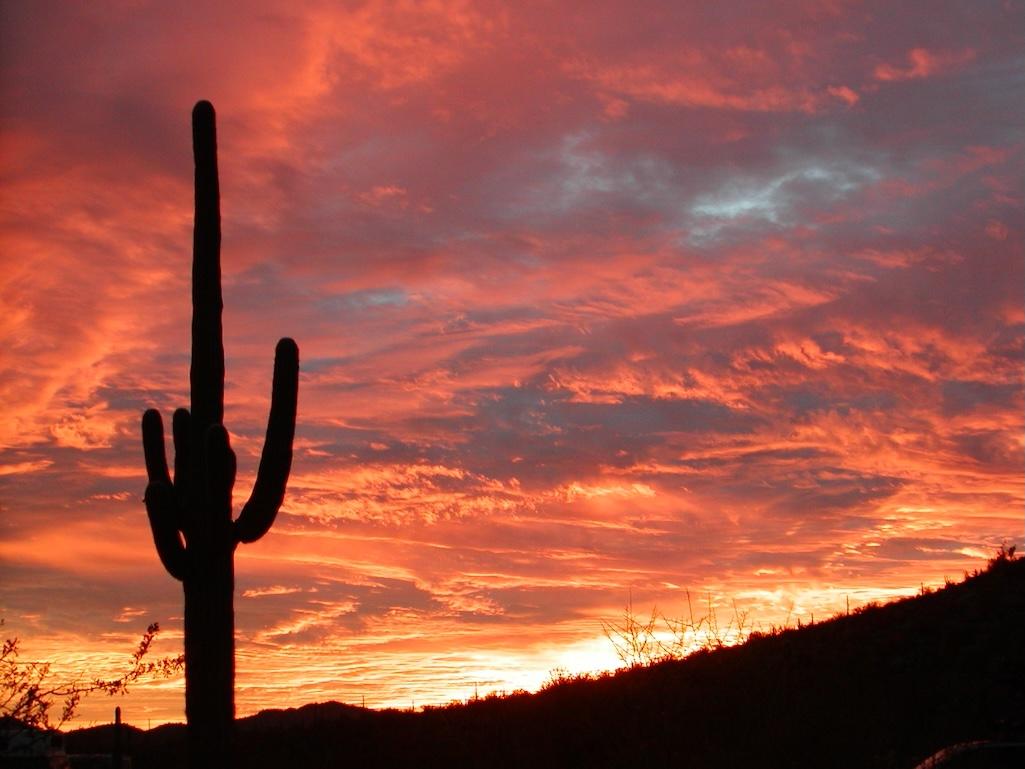 Sunset at 