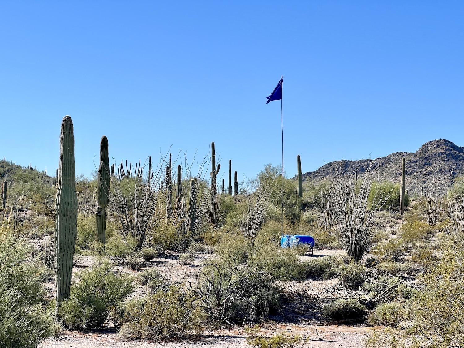 One of the Humane Borders water stations in Organ Pipe Cactus National Monument.