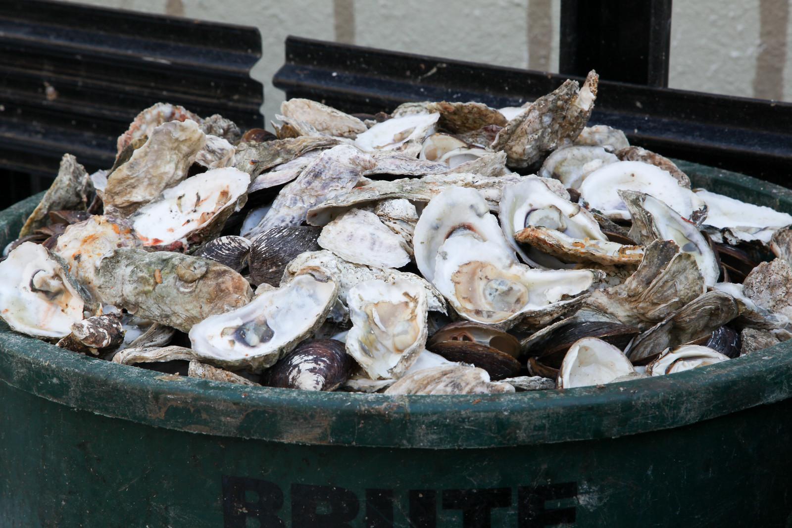 A haul of Chesapeake Bay oysters / Chesapeake Bay Program