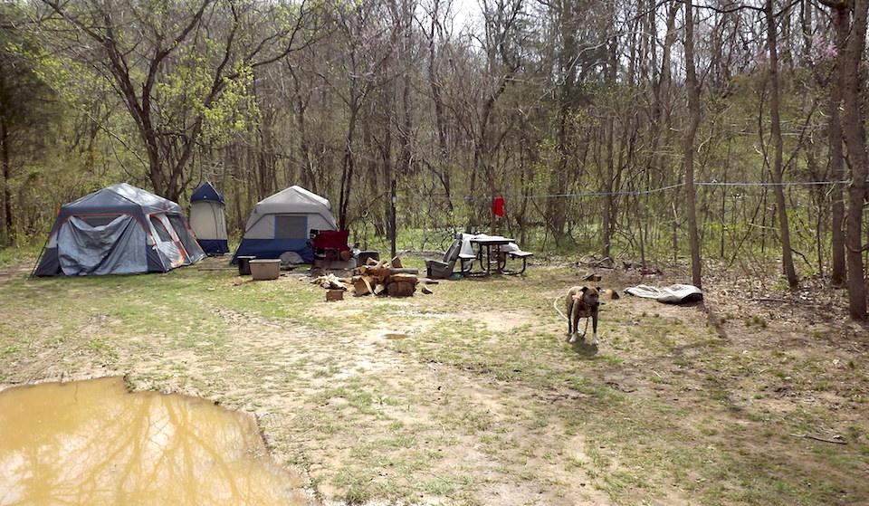 A Missouri couple used this campsite as a base camp for stealing archaeological artifacts from Ozark National Scenic Riverways/NPS