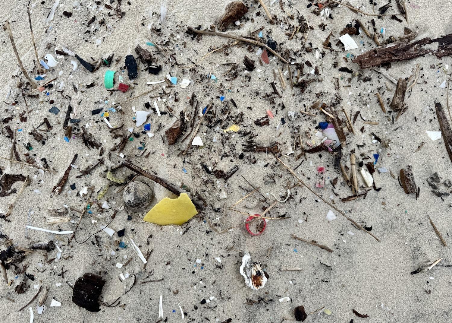 There's a sea coconut (aka golf ball) amid the marine debris in this Malaquite Beach shot.