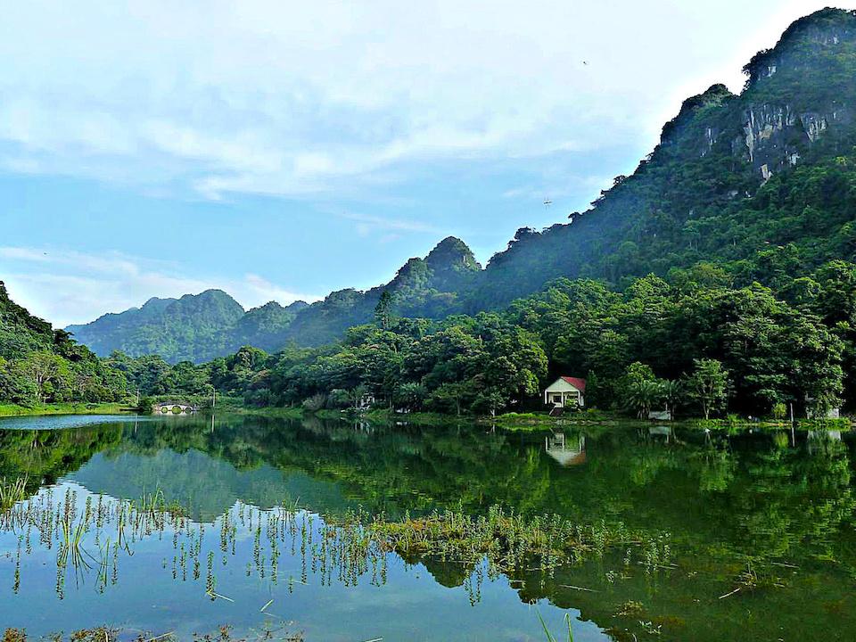 Vietnam's oldest national park, Cuc Phuong, dates only to 1962. This limestone karst landscape provides habitat for about 135 mammal species.