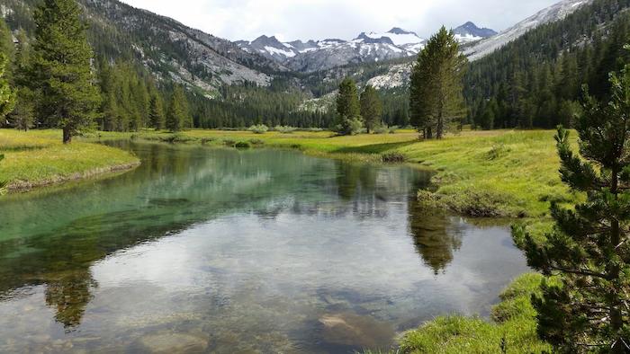 A fork of the Tuolumne River flows through Lyell Canyon, a scenic, serene section of Yosemite’s high country / NPS A fork of the Tuolumne River flows through Lyell Canyon, a scenic, serene section of Yosemite’s high country / NPS