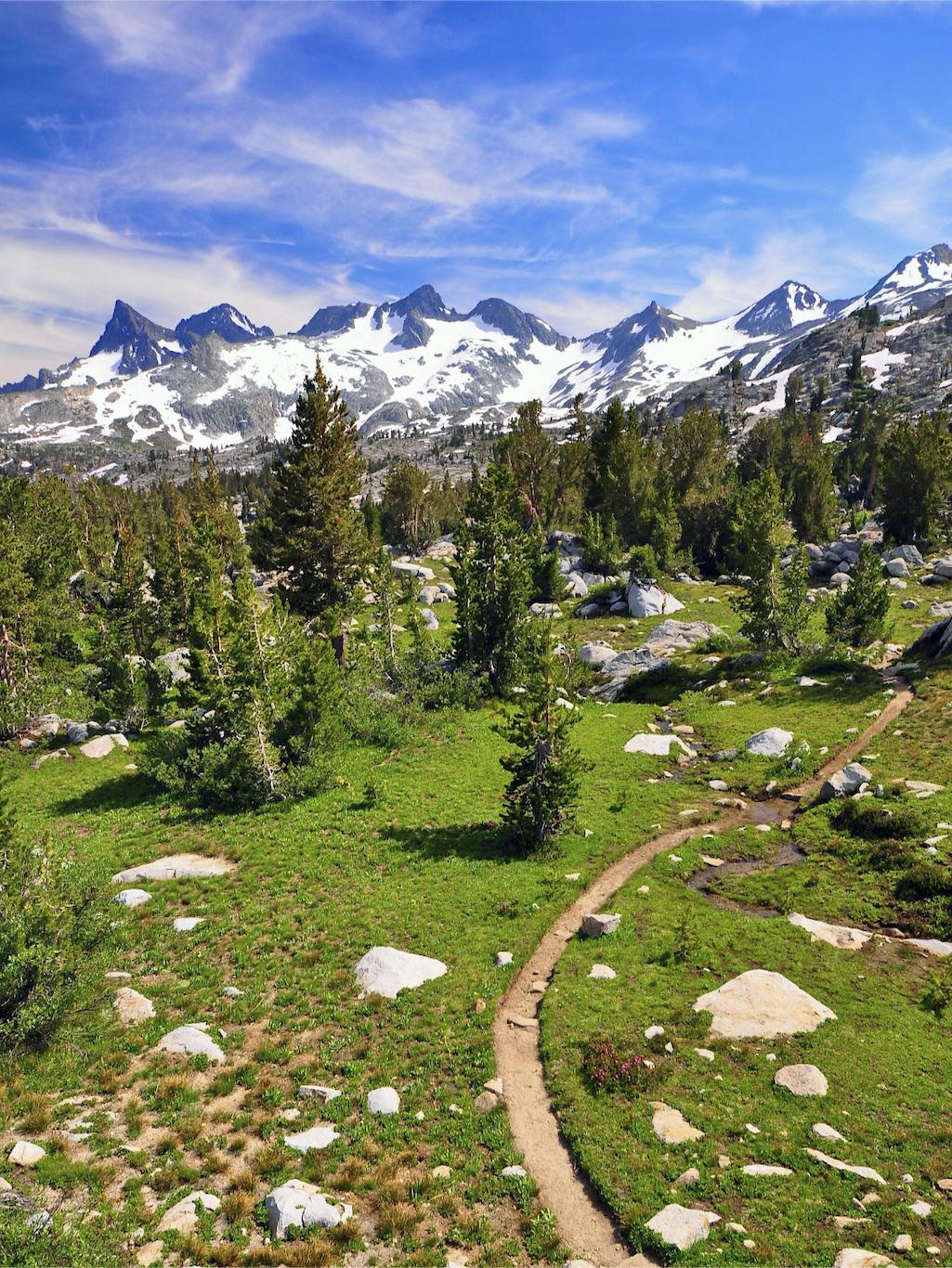 Long-distance trails, such as the Pacific Crest Trail, are natural biodiversity corridors/Steve Dunleavy via Wikipedia