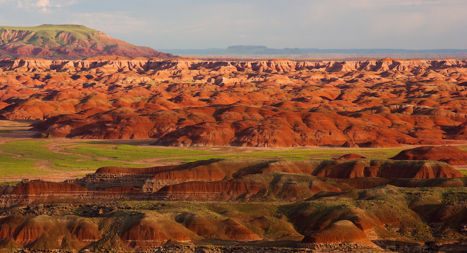 Red badlands with grassy lowlands in the Petrified Forest National Wilderness Area, within Petrified Forest National Park/NPS, Stuart Holmes