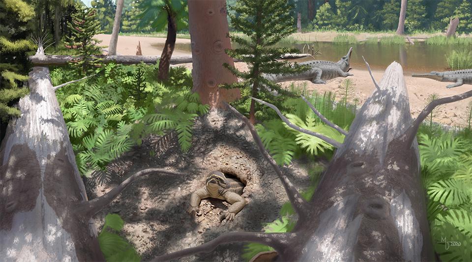 The new species of drepanosaur, Skybalonyx skapter, emerging from a burrow in the Late Triassic at Petrified Forest/NPS, art used with permission by Midiaou Diallo