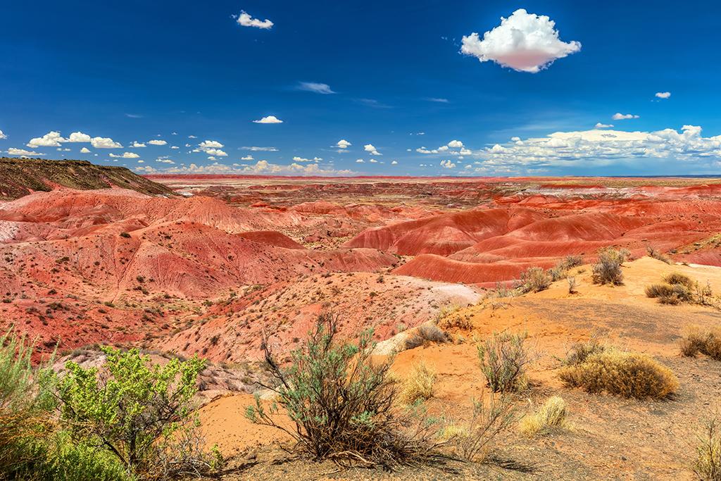 Painted Desert seen from Tiponi Point, Petrified Forest National Park / Rebecca Latson