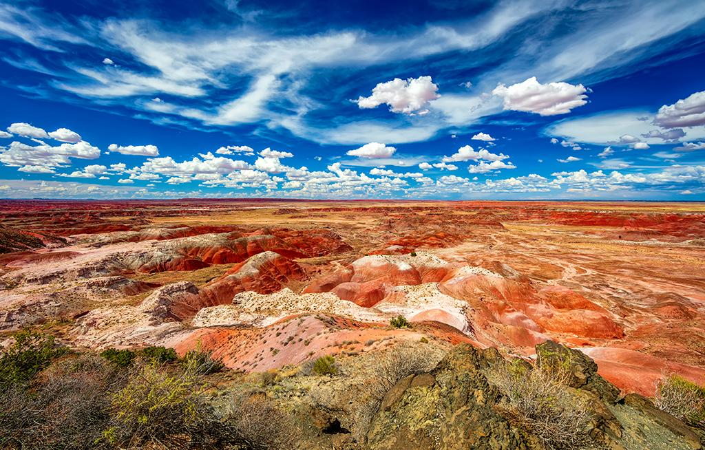 Painted Desert as far as the eye can see - converted to sRGB prior to uploading to site, Petrified Forest National Park / Rebecca Latson