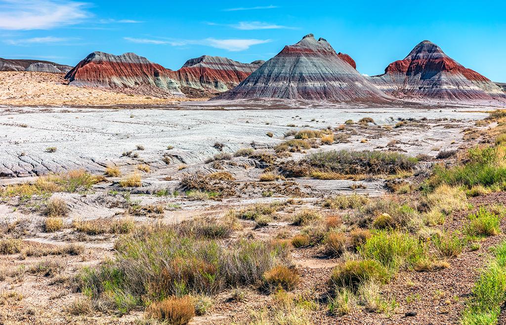 The Teepees, Petrified Forest National Park / Rebecca Latson