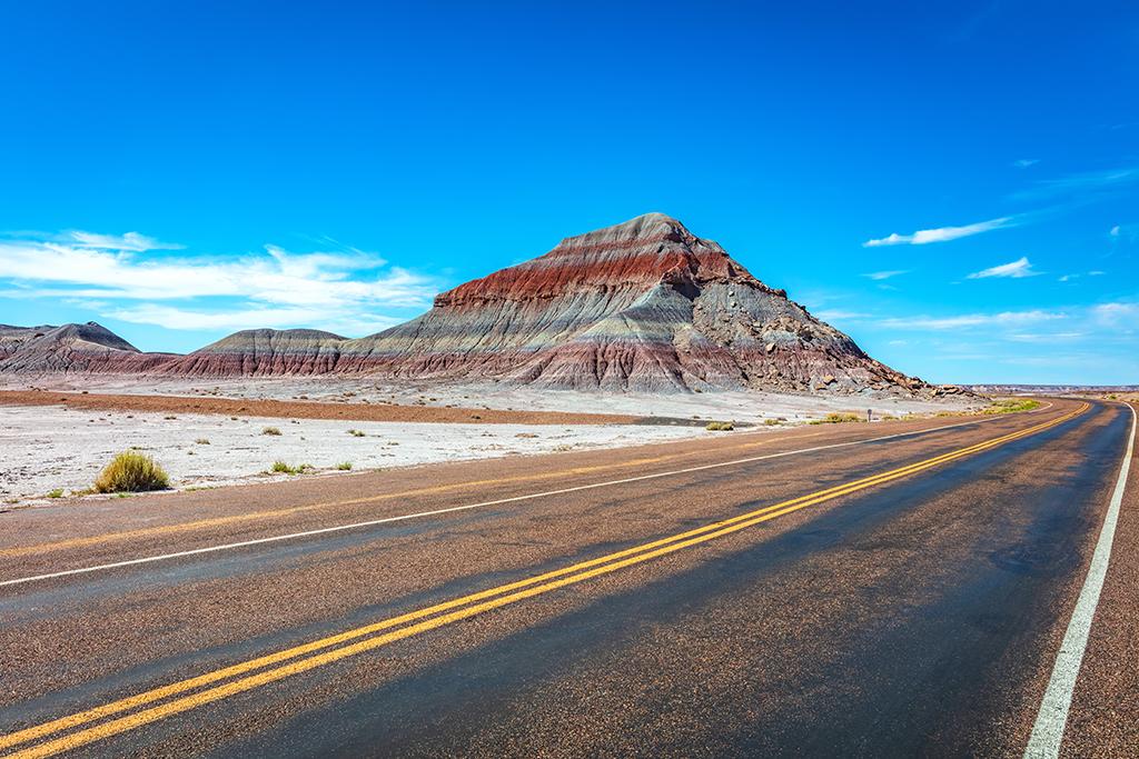 The road through the park, Petrified Forest National Park / Rebecca Latson