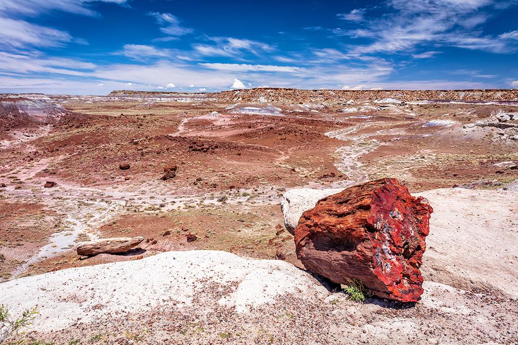 A wide-open view, Petrified Forest National Park / Rebecca Latson