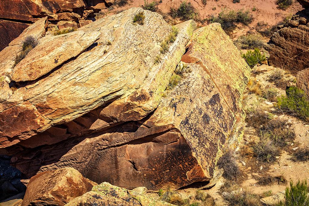 Newspaper Rock, Petrified Forest National Park / Rebecca Latson