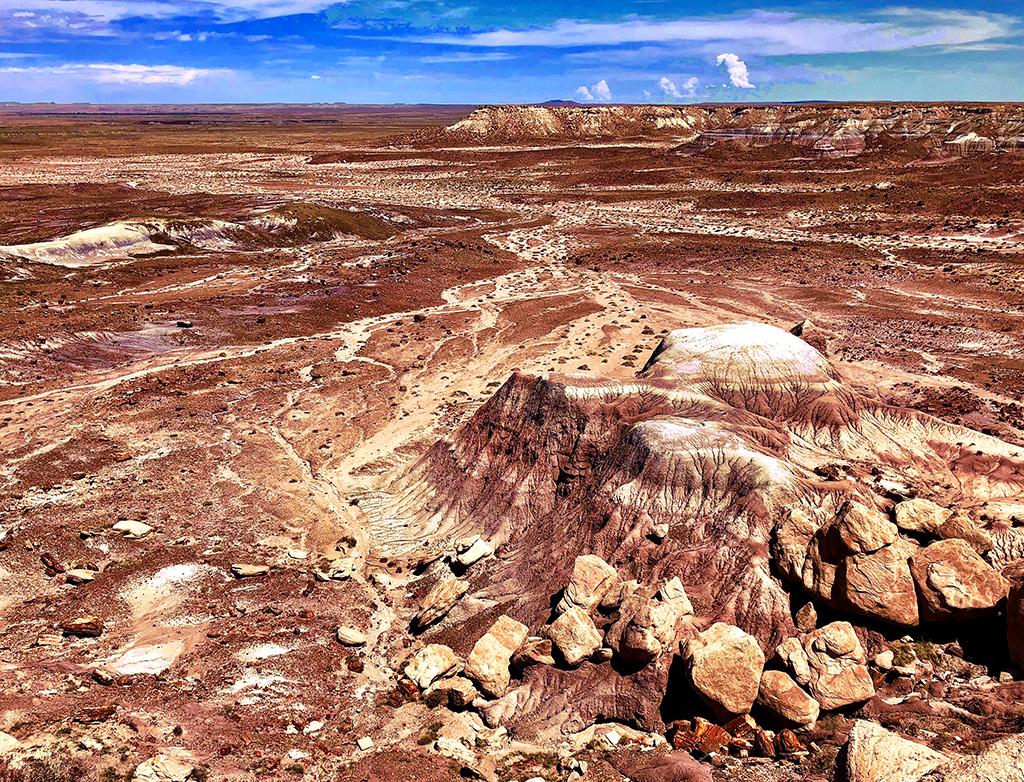 The view from Jasper Forest Overlook, Petrified Forest National Park / Rebecca Latson