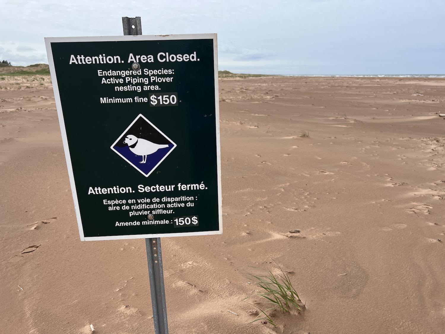 Parks Canada uses a variety of bilingual signs to warn people about Piping Plover beach closures.
