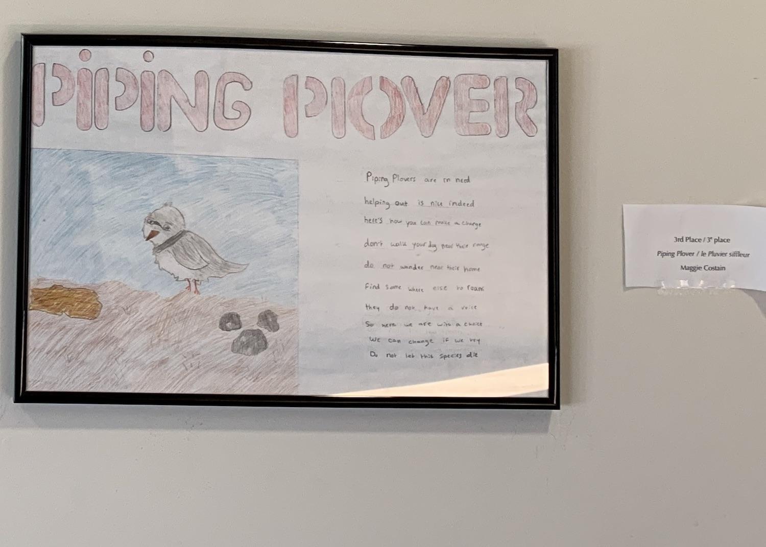 A Piping Plover poem written for a species at risk contest in 2022.