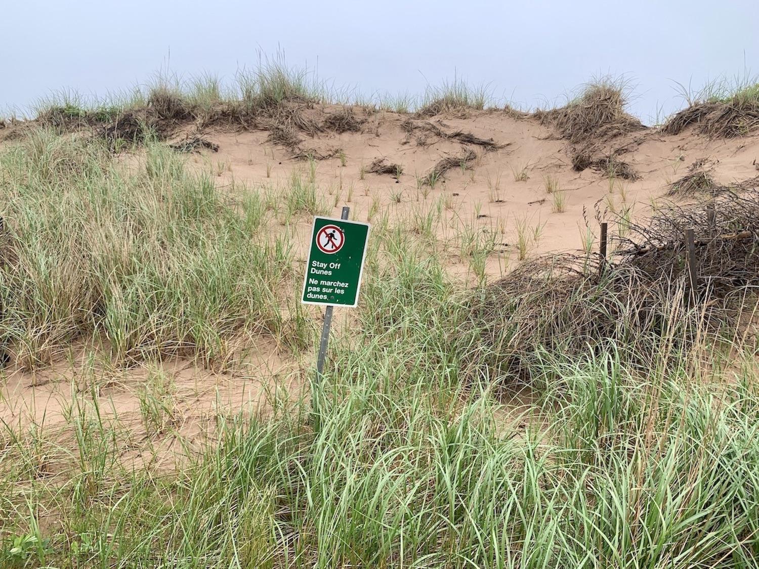 Walking on P.E.I. National Park's sand dunes has been banned since 2021.
