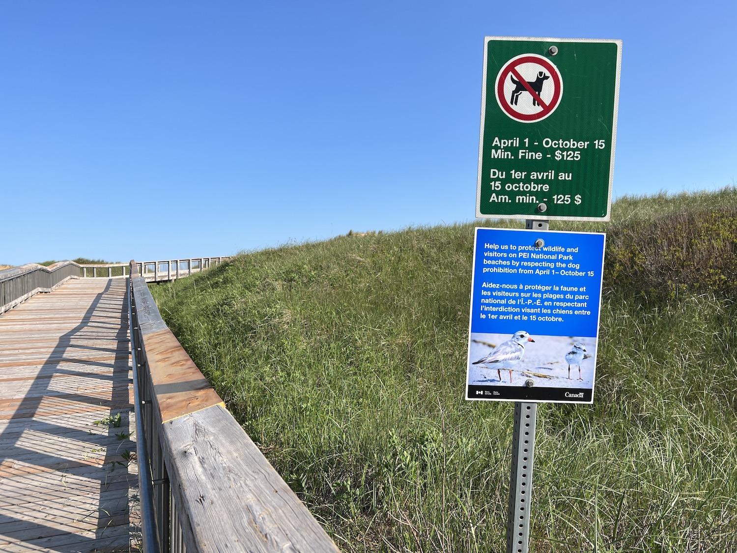Dogs and other domestic animals are banned from PEI National Park beaches during Piping Plover nesting season.