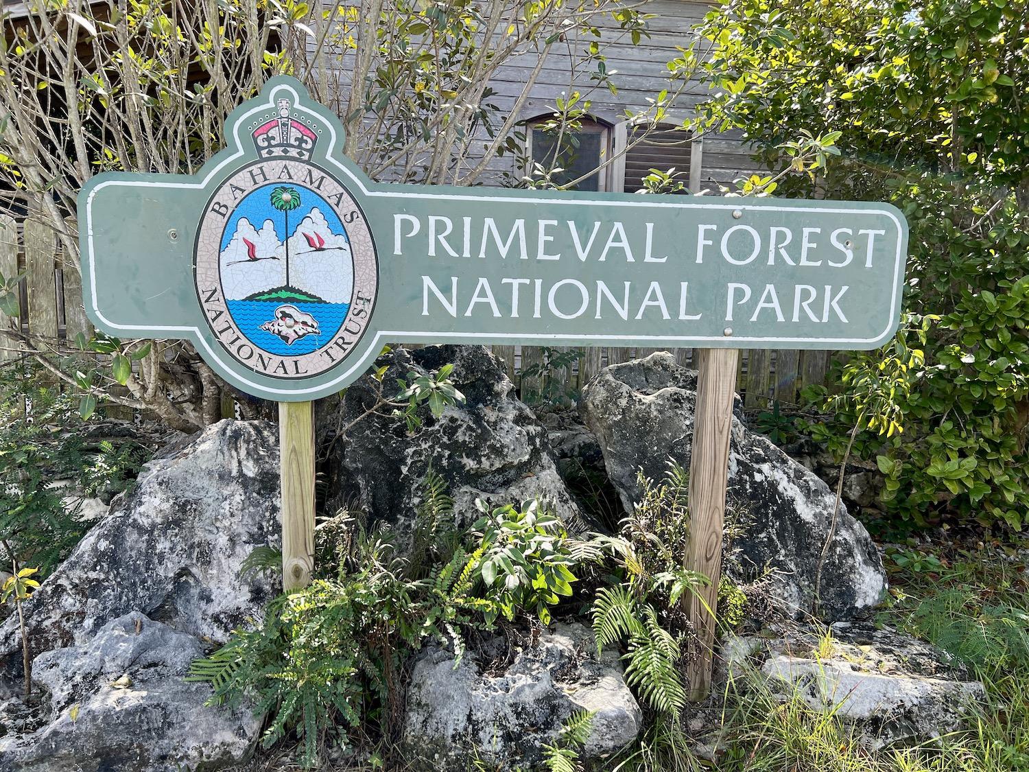 Primeval Forest National Park is an easy drive, or cab ride, from downtown Nassau.
