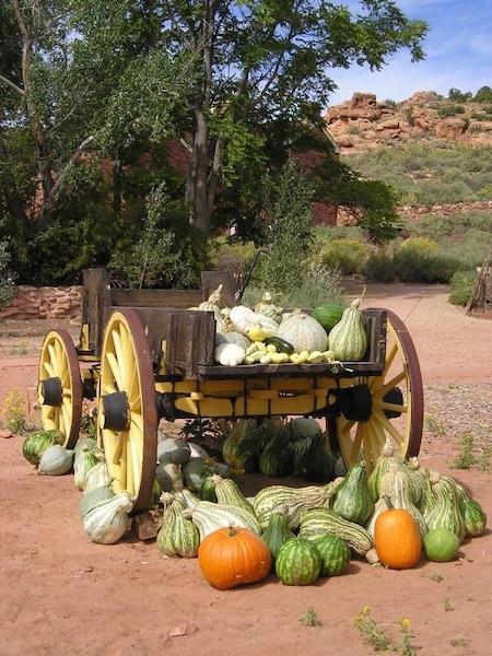 Fed by the spring waters, the ranch's gardens are productive/NPS