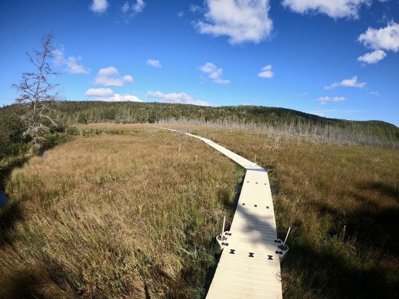 The new Hattie Cove Wetland Walkway in Pukaskwa National Park.
