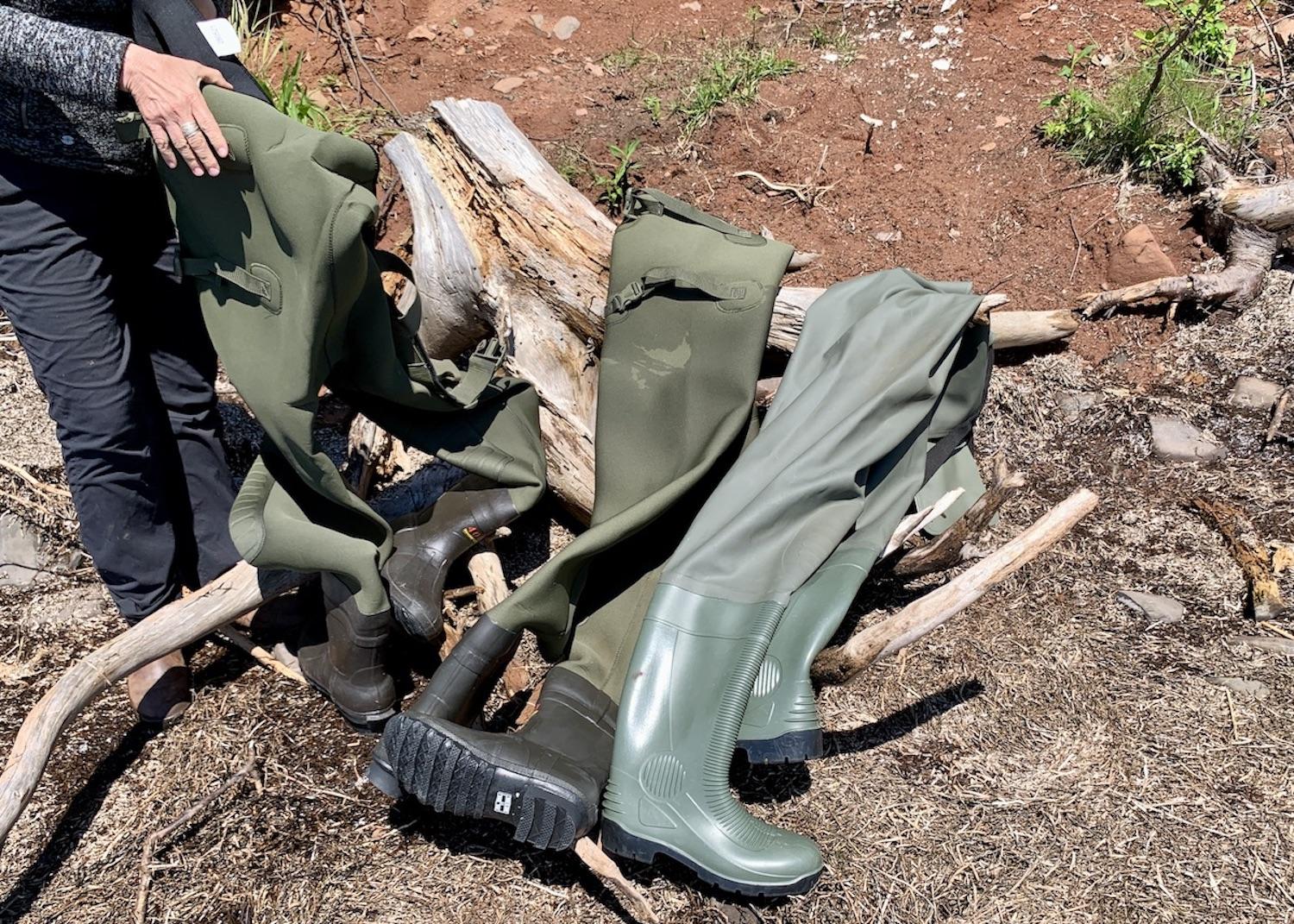 We needed hip waders to get from our boat to Hog Island.