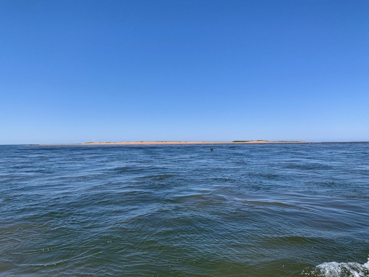 Our boat couldn't get close to the sandhills so we admired them from afar.
