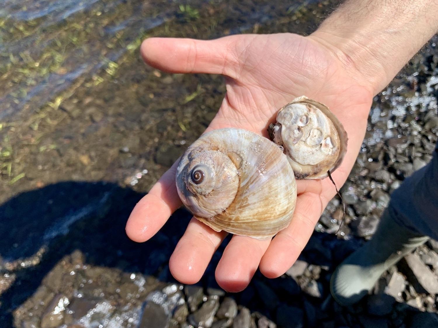 The ocean around Pituamkek is rich with marine life.