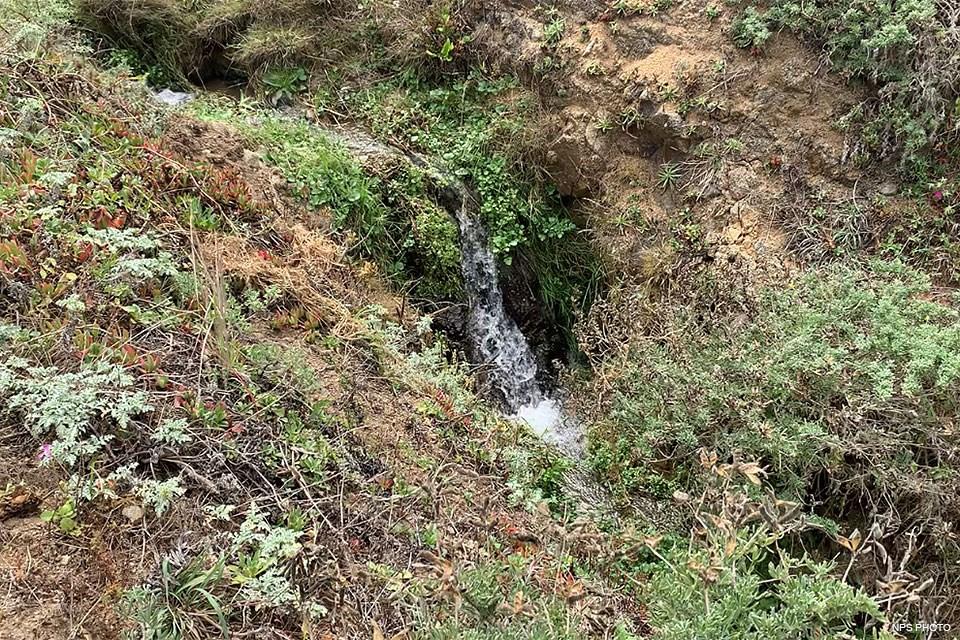 Flowing water in McClures Creek in the southern portion of the Tomales Point Tule Elk Reserve. August 19, 2020/NPS