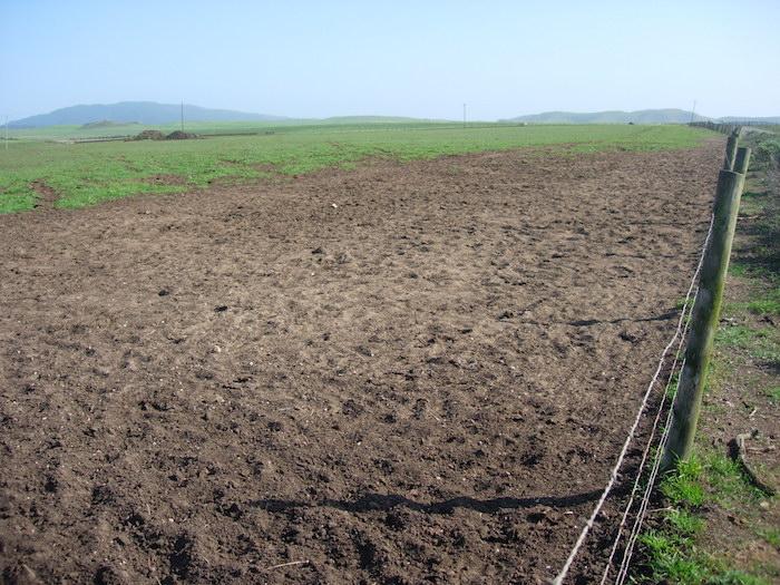 Fence line in pastoral zone of Point Reyes National Seashore/Karen Klitz