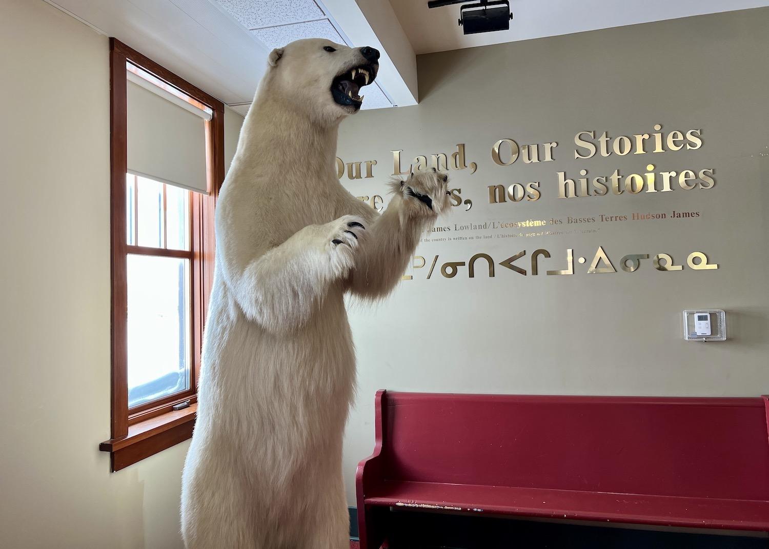 This polar bear looms over vintage train benches in the Parks Canada Visitor Centre in Churchill's historic train station.