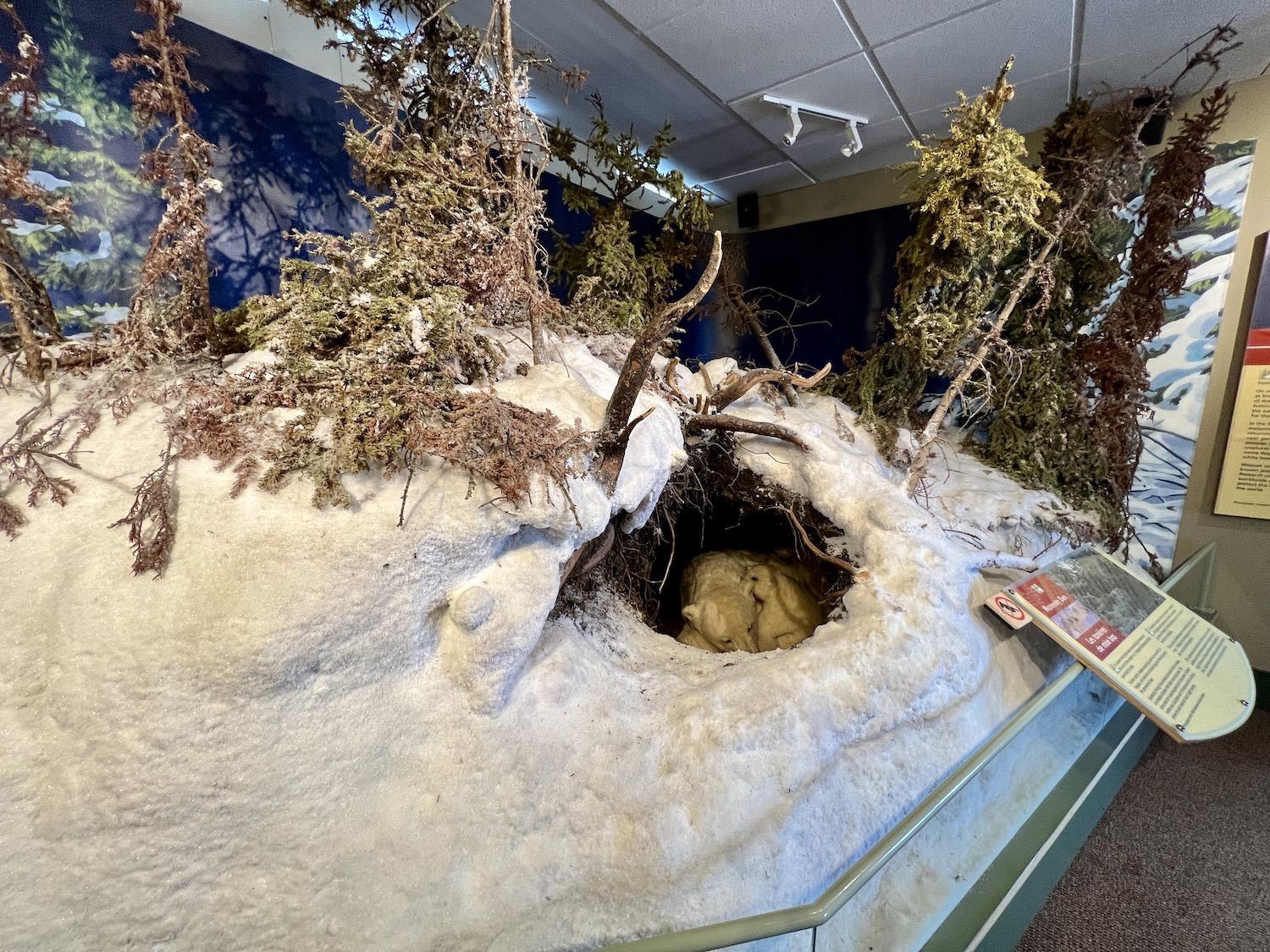 This replica polar bear maternity den is a highlight of the Parks Canada Visitor Centre in Churchill.