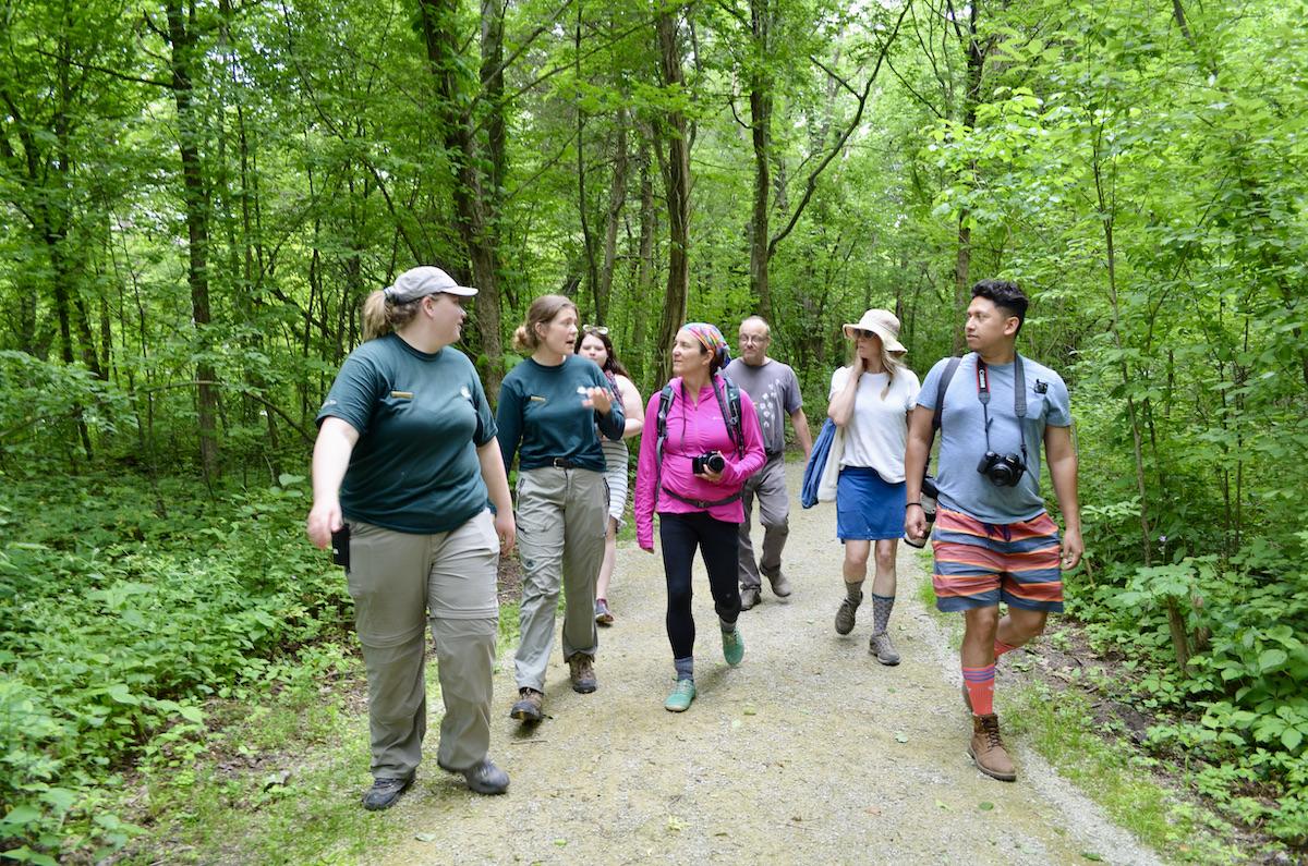 Artists explore Point Pelee National Park with Parks Canada staff during a residency.