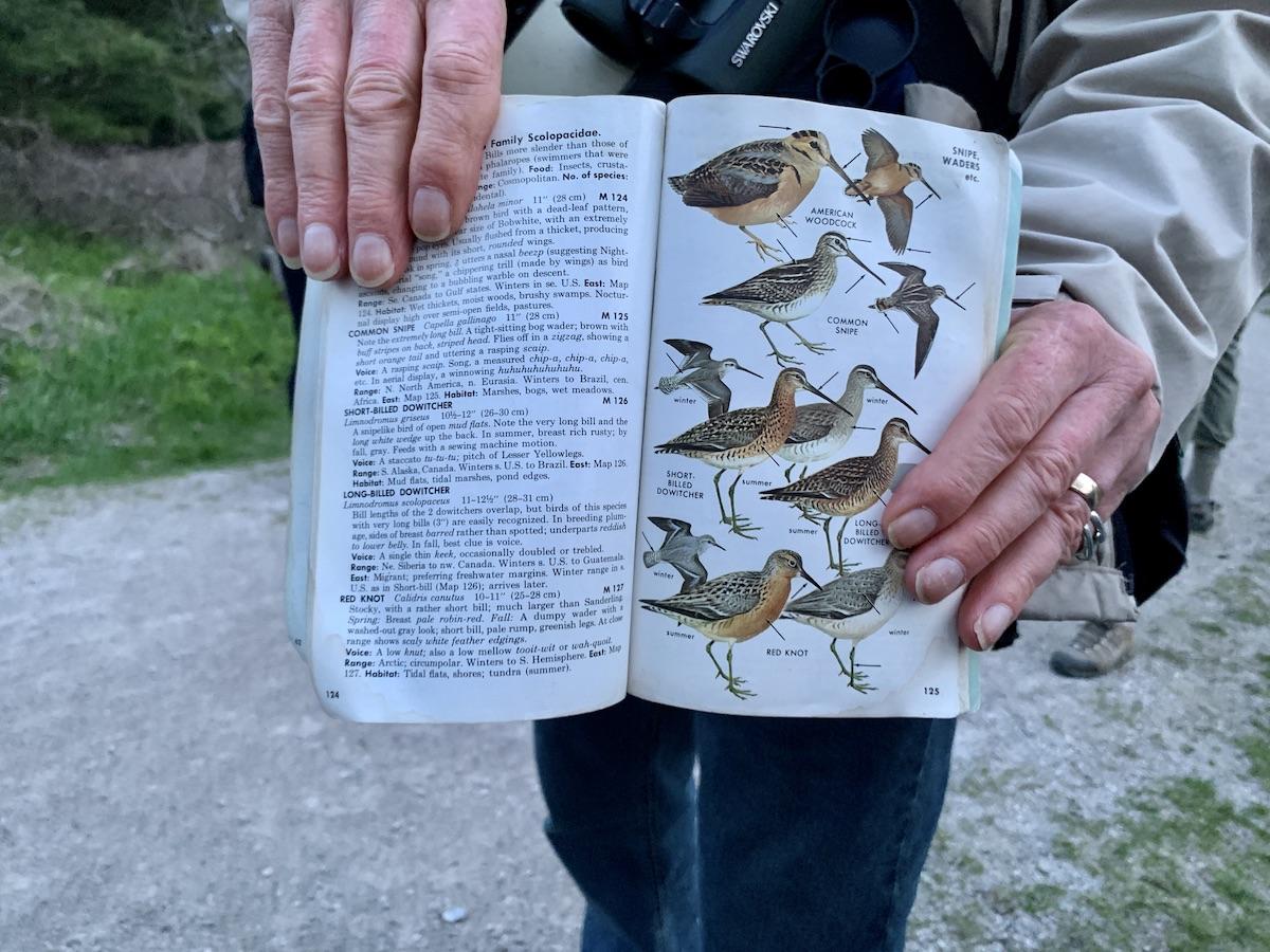 Paukščių gidas Pete'as Readas parodo savo paukščių knygos puslapį su snapu.