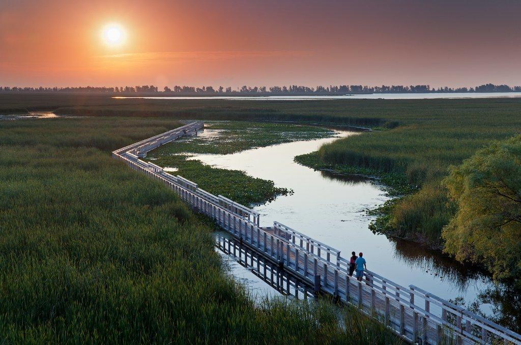 The boardwalk at Point Pelee National Park at sunset.