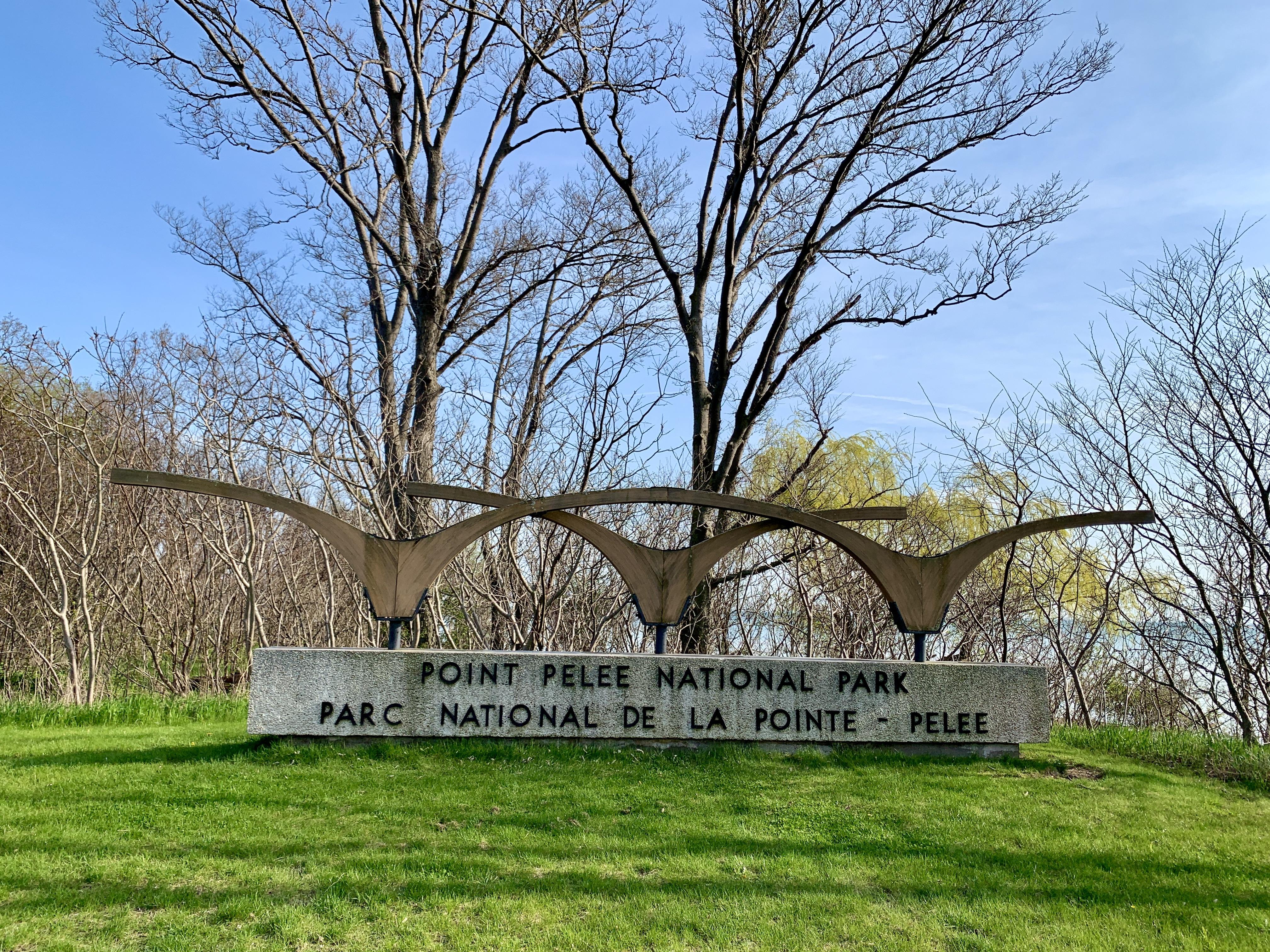 Point Pelee is in southwestern Ontario near Leamington.