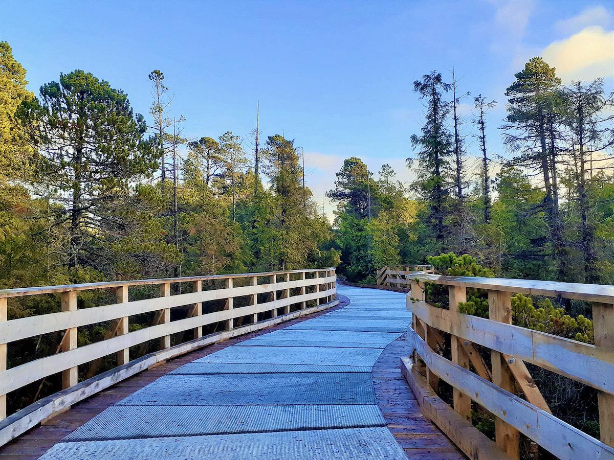 Boardwalks protect sensitive bogs.