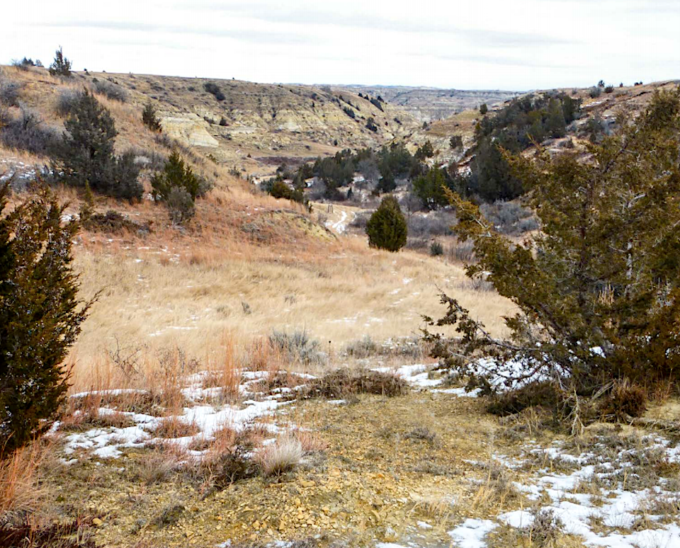 A patch of North Dakota's rugged grasslands and badlands near Theodore Roosevelt National Park is preferred for the former president's official library/TRPLF
