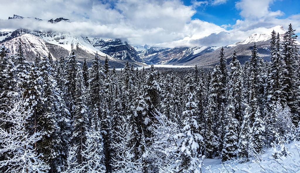 A snowy spring vista, Banff National Park, Canada / Rebecca Latson