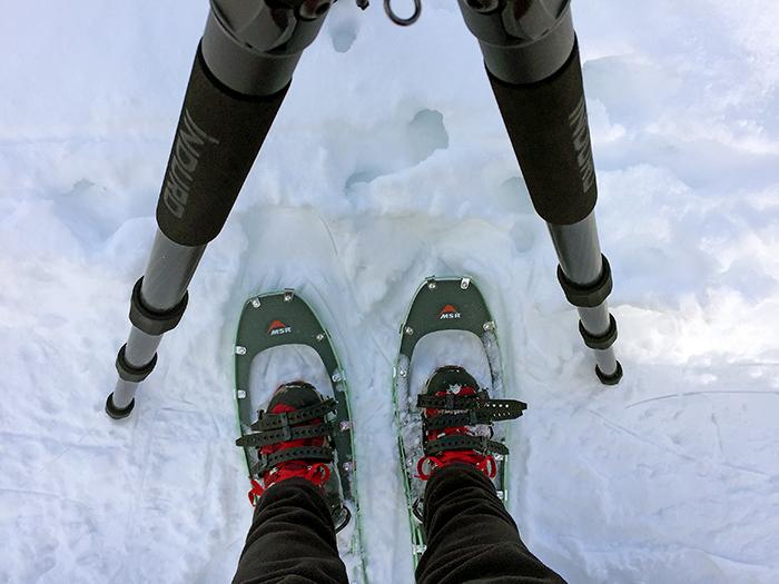 My MSR Lightning Ascent show shoes in Glacier National Park / Rebecca Latson