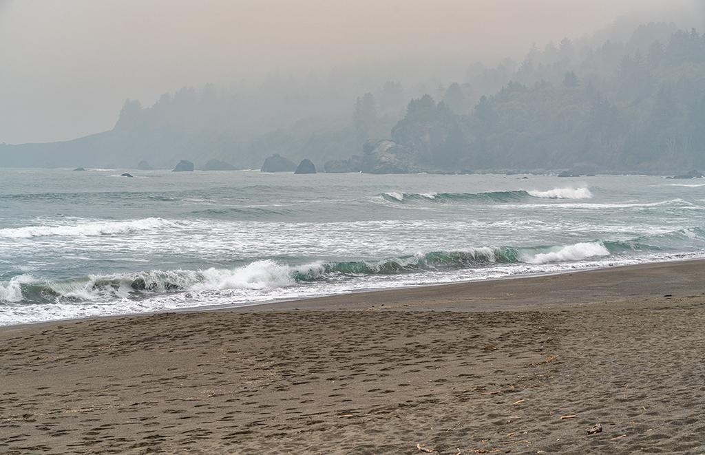 A smoky day along the Pacific coast, Redwood National and State Parks / Rebecca Latson