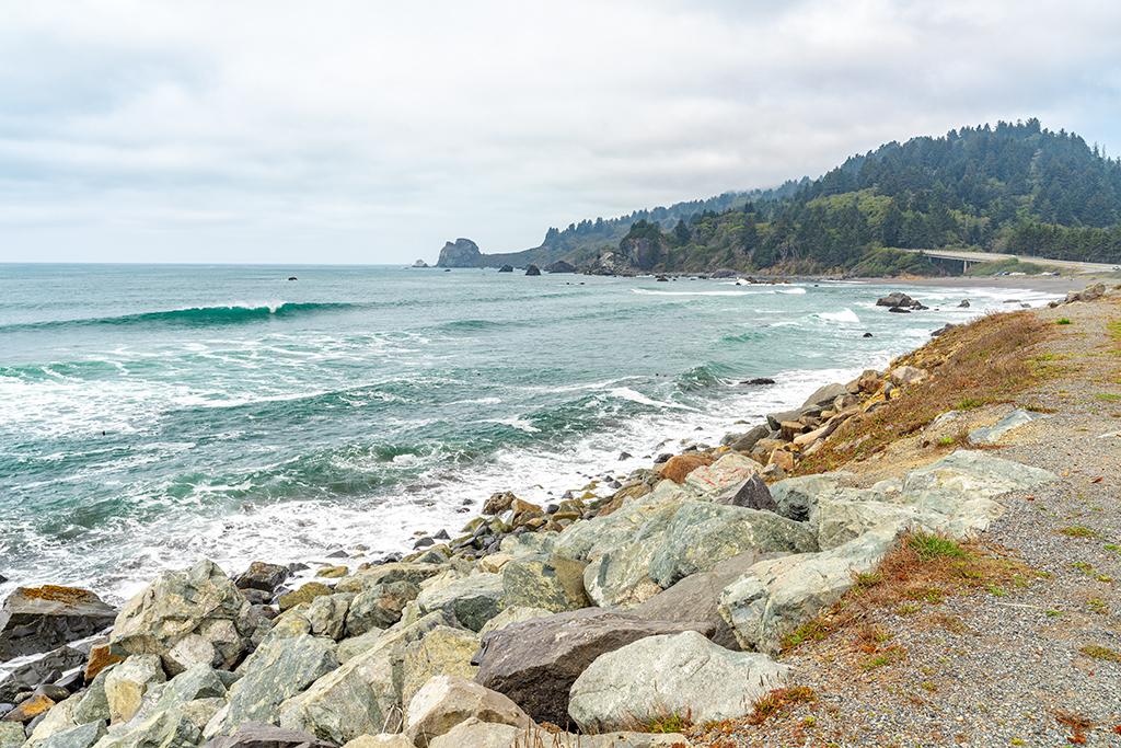 A different, clearer day on the Pacific Coast, Redwood National and State Parks / Rebecca Latson