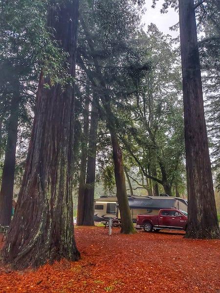 National park campgrounds often bring you closer to nature than private campgrounds outside the parks/Olga Davis