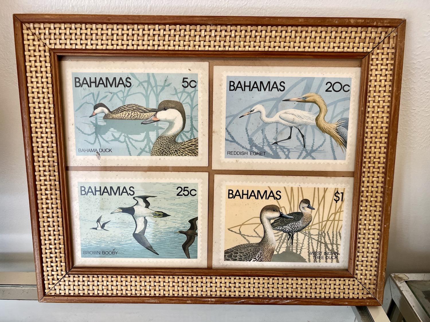 At the Rand Nature Centre, vintage stamps show birds found in the Bahamas.