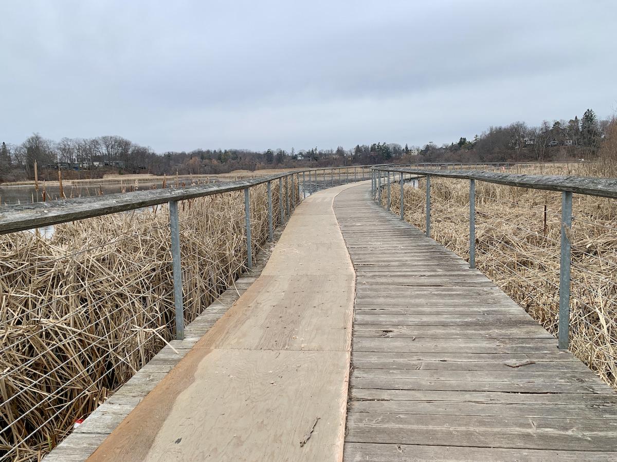 A recent view of the boardwalk at Rouge National Urban Park.