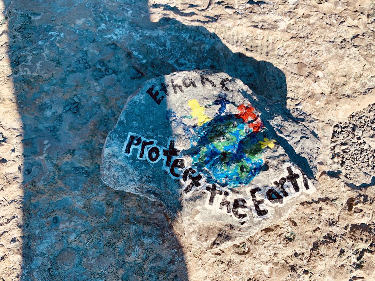 A hand-painted rock says "Protect the Earth."