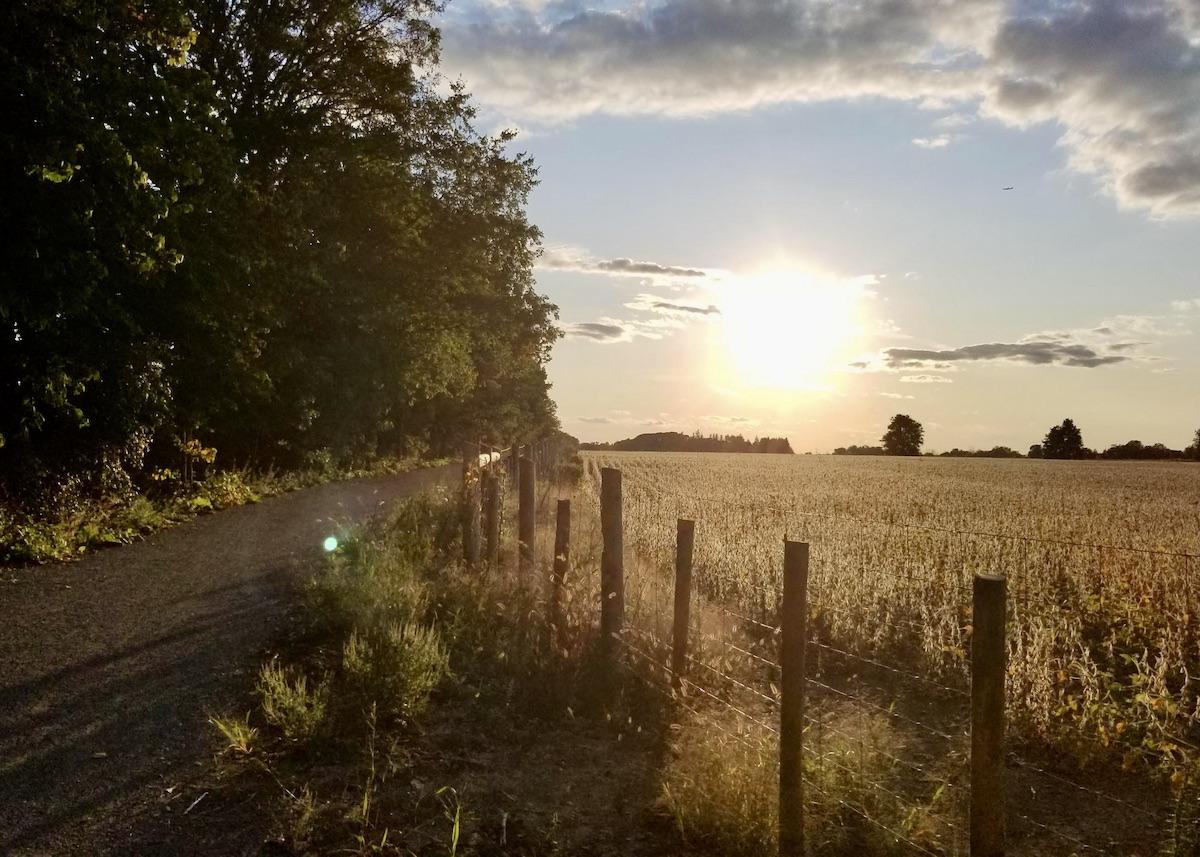 Harvest Trail meanders through farmland.