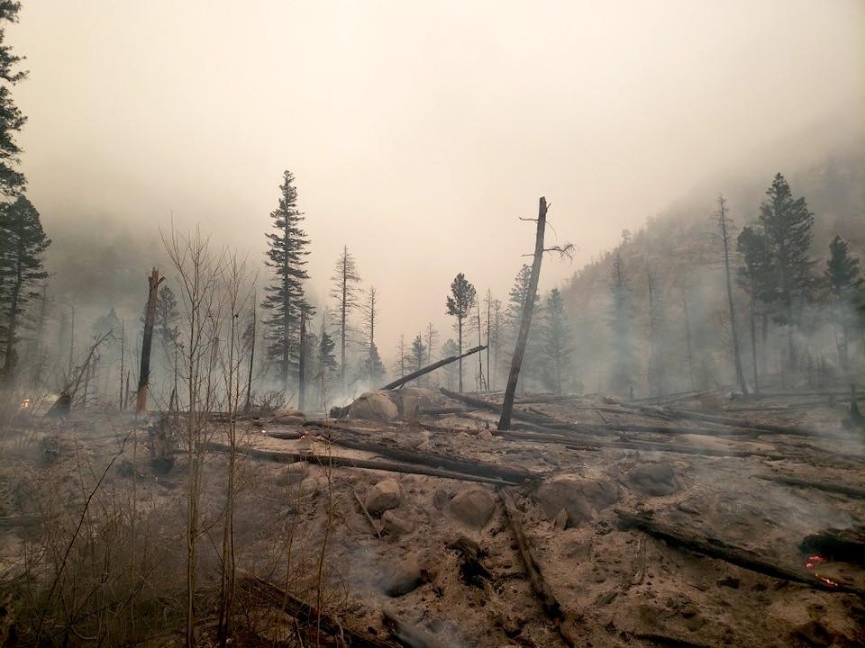 The landscape at the confluence of the Spruce and Forest canyons were ignited by embers that traveled roughly 1.5 miles from the East Troublesome Fire/NPS