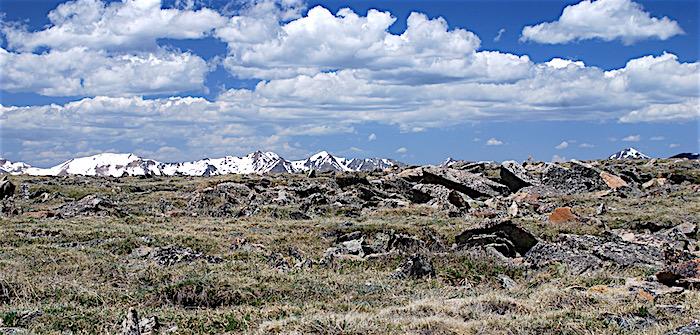 Trail Ridge Road, Rocky Mountain National Park/Kurt Repanshek
