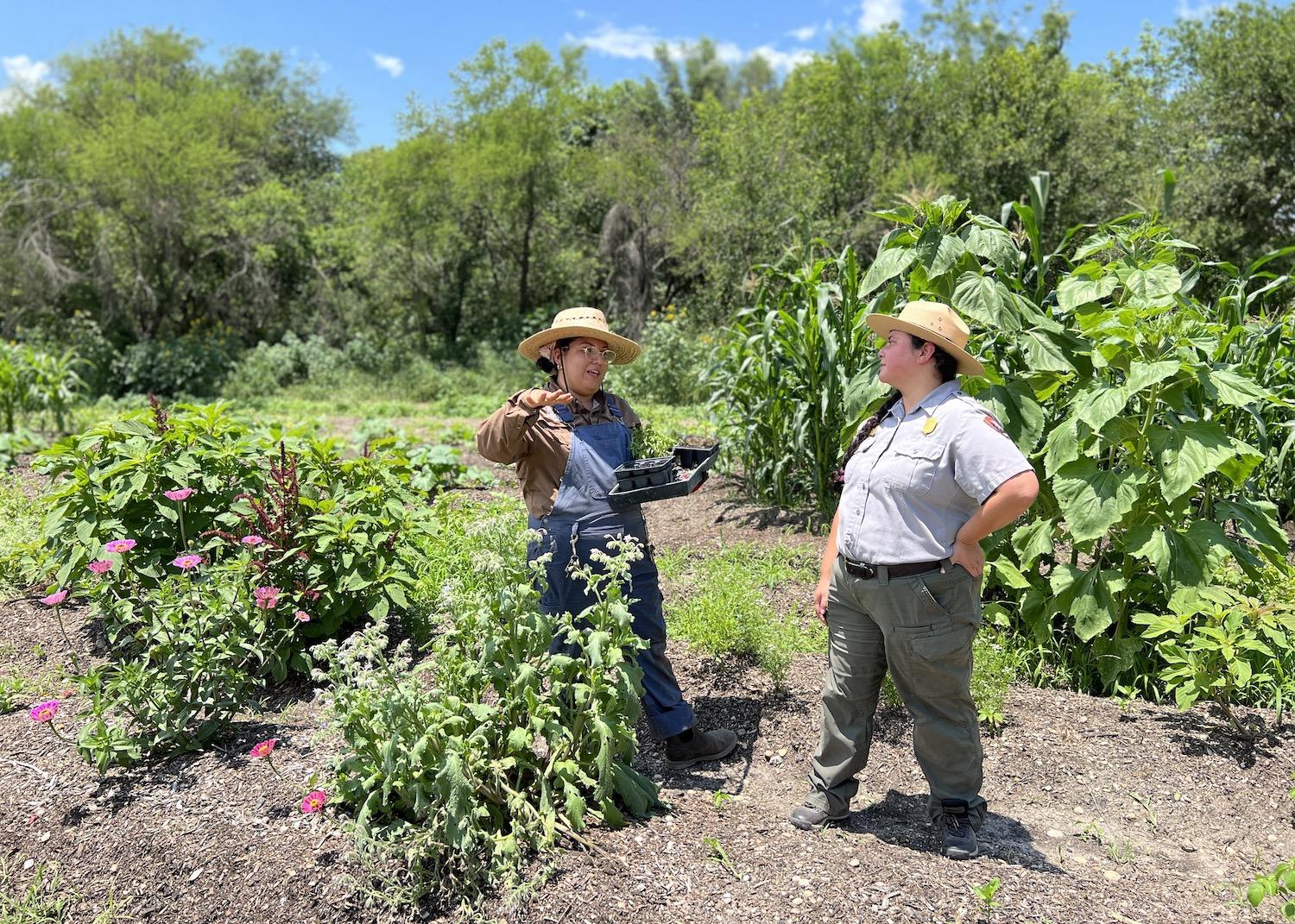 In the demonstration field at Mission San Juan, the San Antonio Food Bank's Liliana Reyes farms and chats with National Park Service ranger Destiny Gardea.